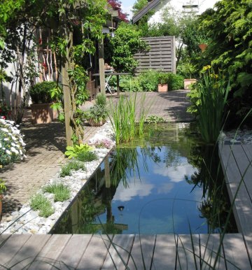 Haas_MM_0002_P4N_Haas_005_090527_090527.GenV1.jpg_compressed