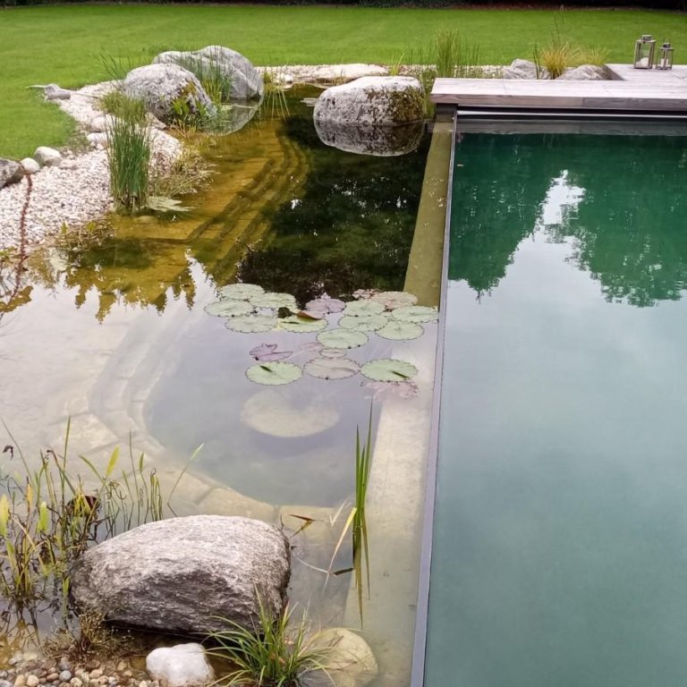 IMG_20210921_084532_692.GenV1