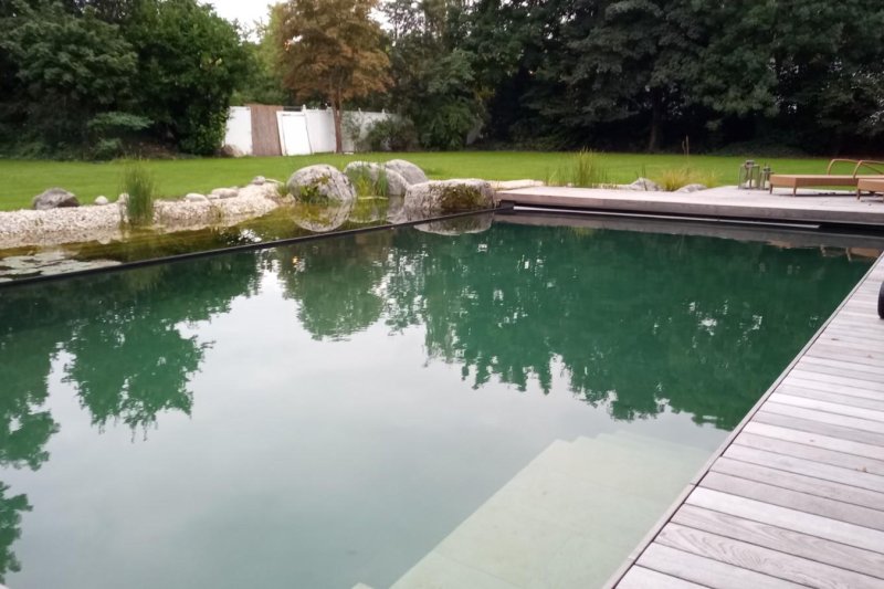 IMG_20210921_084541_991.GenV1