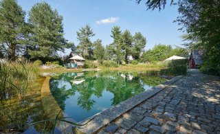 Schwimmteich