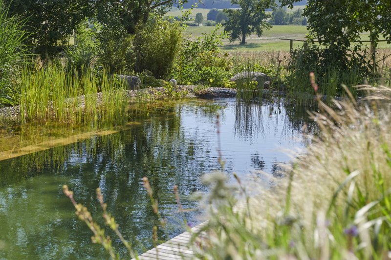 Schwimmteich1
