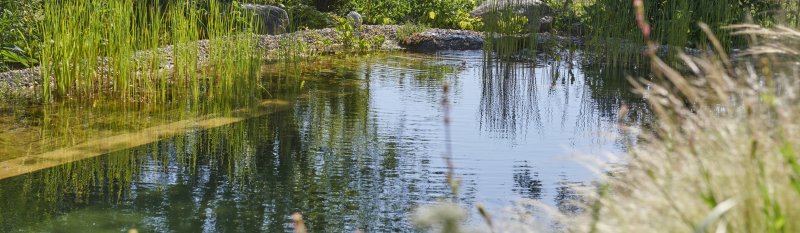 Schwimmteich1